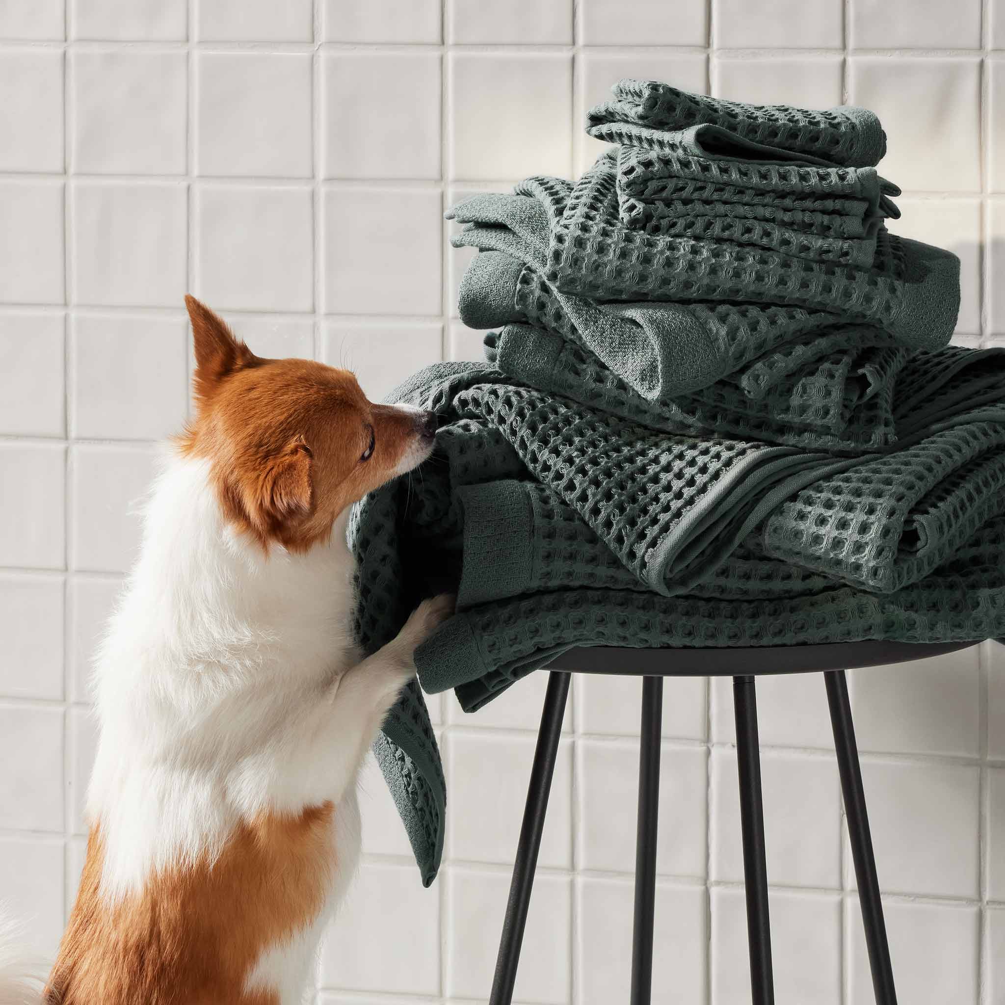 Dreamweave Waffle Bath Towels Set of 2 X6