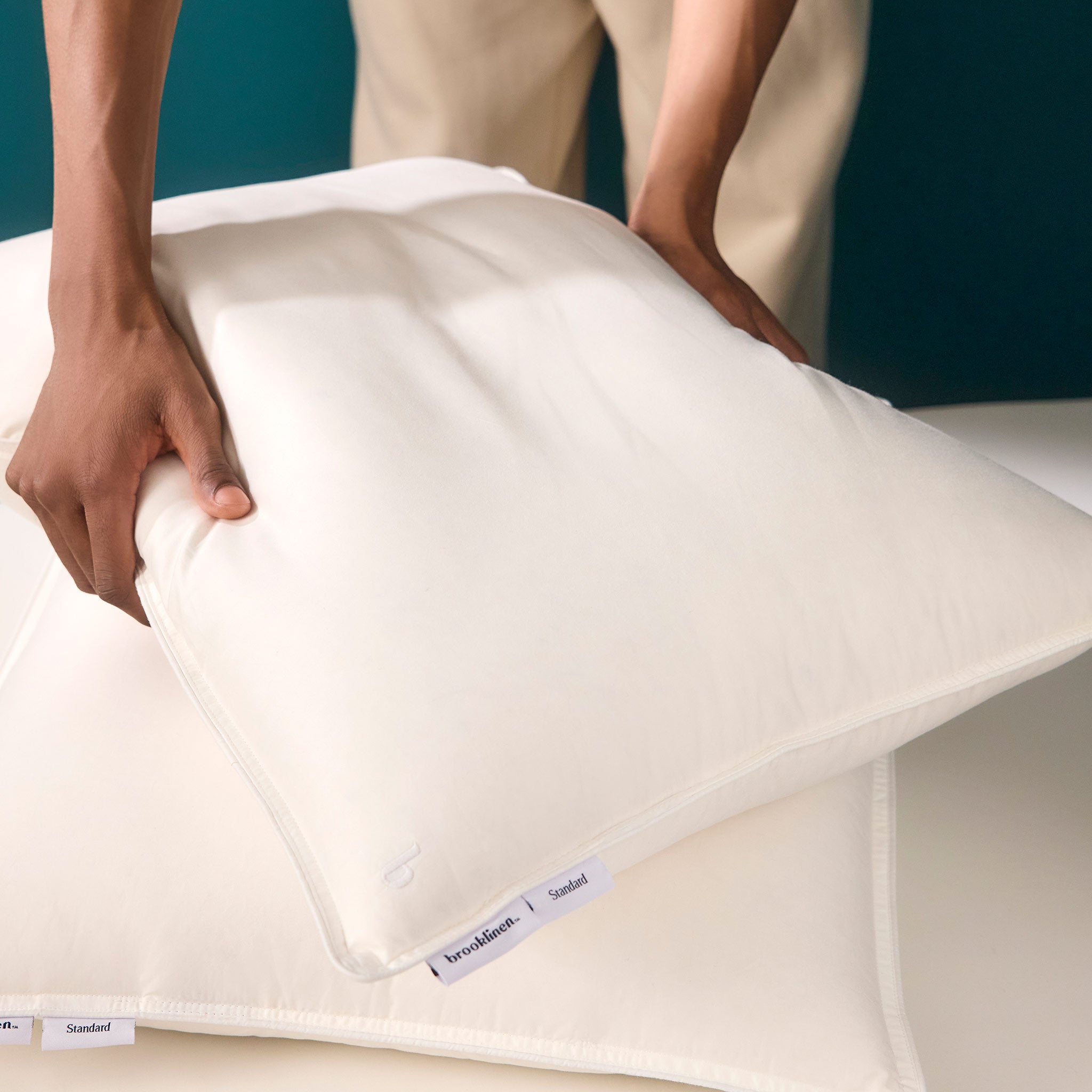 Down Pillow I7