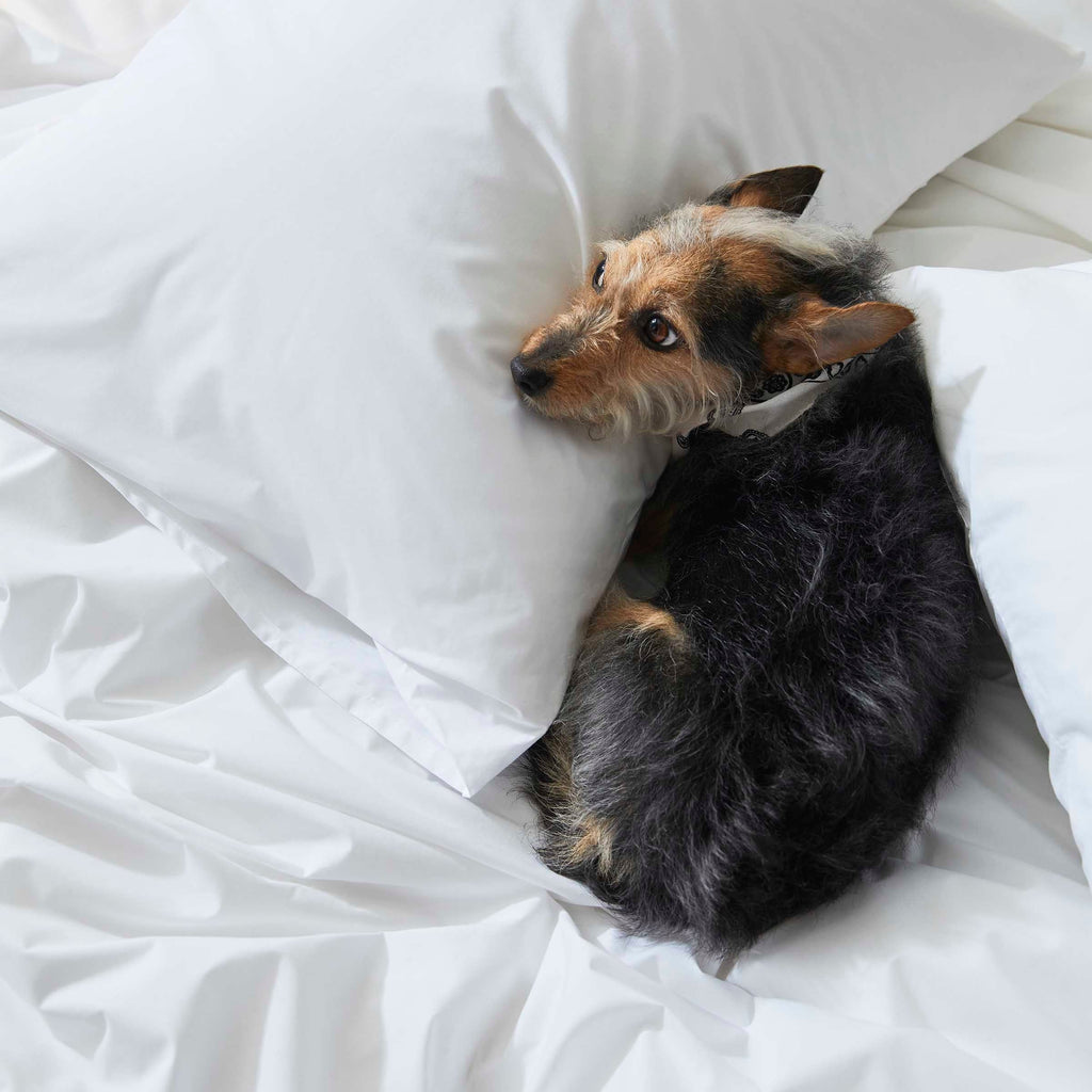 Classic Percale Duvet Cover C4