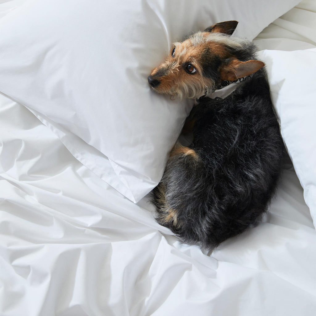 Classic Percale Core Sheet Set G7