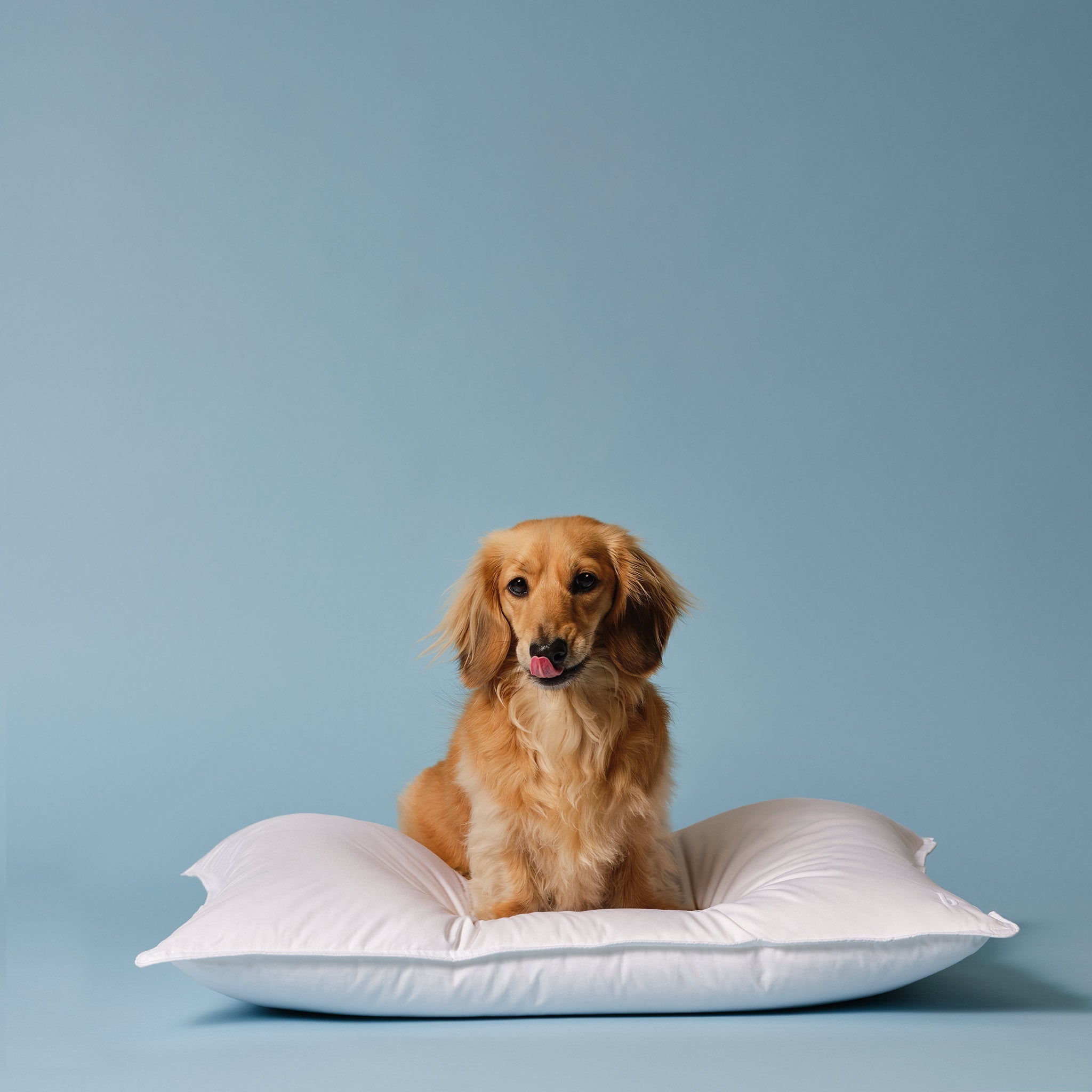 Down Pillow I7